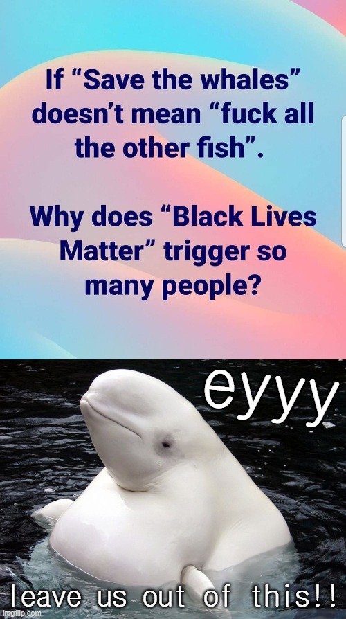 fat beluga whales of the world do not appreciate being brought into these human conflicts | eyyy; leave us out of this!! | image tagged in fat whale,blm,whales,whale,conservative logic,triggered | made w/ Imgflip meme maker