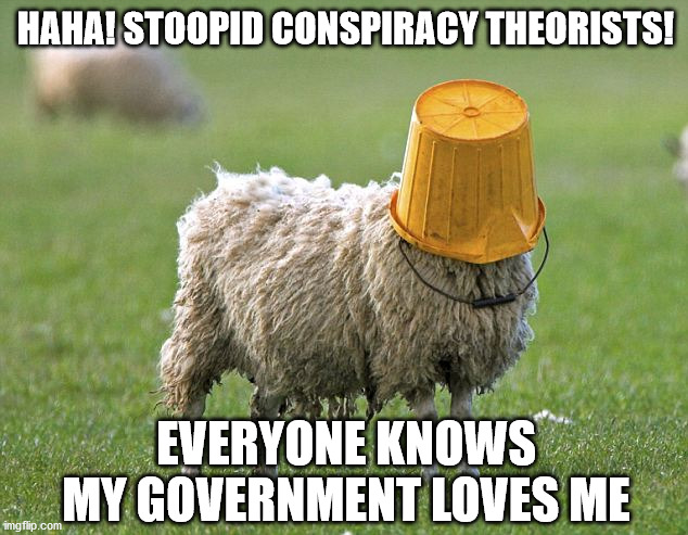 stupid sheep | HAHA! STOOPID CONSPIRACY THEORISTS! EVERYONE KNOWS MY GOVERNMENT LOVES ME | image tagged in stupid sheep | made w/ Imgflip meme maker