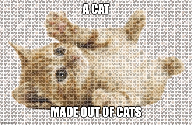 A CAT MADE OUT OF CATS | made w/ Imgflip meme maker