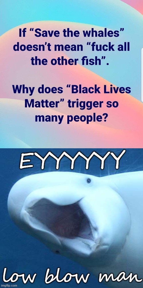 Beluga buddy here resents being labeled as a fish, he's a proud mammal | EYYYYYY; low blow man | image tagged in suprised beluga whale,blm,black lives matter,blacklivesmatter,whale,conservative logic | made w/ Imgflip meme maker