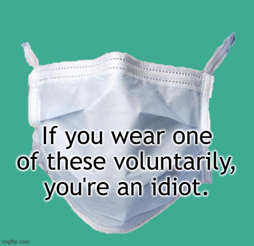 A sign of mindless compliance to big government. | If you wear one of these voluntarily, you're an idiot. | image tagged in face mask,covid-19 | made w/ Imgflip meme maker