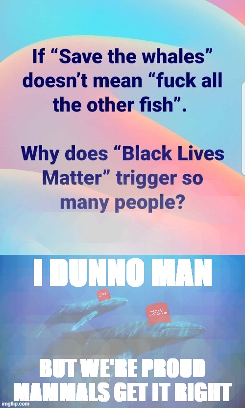 hah sumb libz thot whales r fish maga | I DUNNO MAN; BUT WE'RE PROUD MAMMALS GET IT RIGHT | image tagged in baby blue whale,maga,black lives matter,blm,whales,sarcasm | made w/ Imgflip meme maker