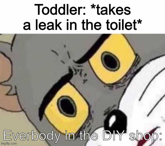 hhehehhehehhe | Toddler: *takes a leak in the toilet*; Everbody in the DIY shop: | image tagged in tom cat unsettled close up | made w/ Imgflip meme maker