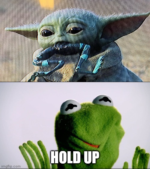 HOLD UP | image tagged in kermit and yoda | made w/ Imgflip meme maker