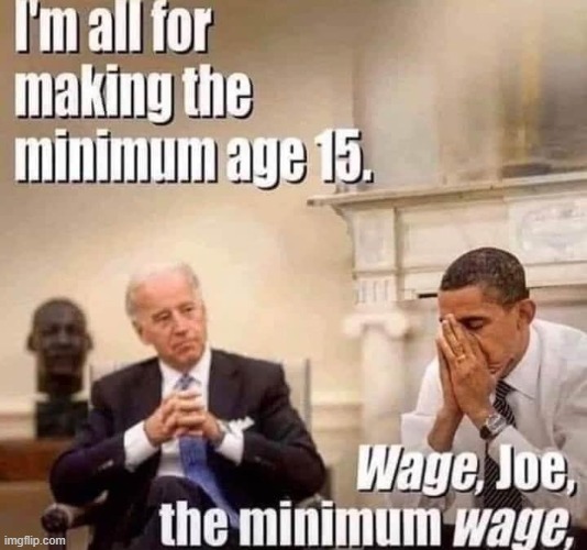 Joe the Schmoe Biden 2020 | image tagged in politics,joe biden | made w/ Imgflip meme maker