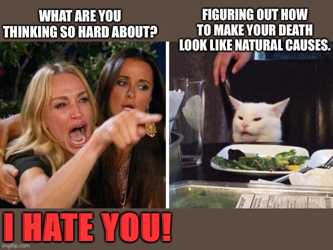 Woman yelling at cat | FIGURING OUT HOW TO MAKE YOUR DEATH LOOK LIKE NATURAL CAUSES. WHAT ARE YOU THINKING SO HARD ABOUT? I HATE YOU! | image tagged in smudge the cat | made w/ Imgflip meme maker