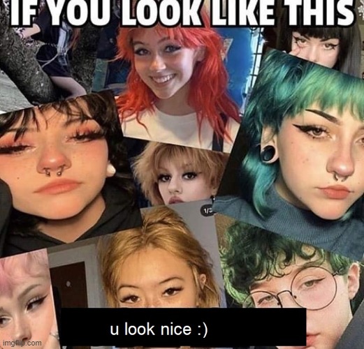 apparently there's an evil version of this meme going around & someone made it nice :) Girls: you do you! | image tagged in wholesome,girls,nice,look,looks,repost | made w/ Imgflip meme maker