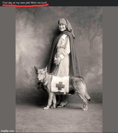 lol but also true story: The courage that women showed in roles like nurses during WWI helped lead directly to women's suffrage. | image tagged in equal rights,voting,historical meme,wwi,nurse,world war i | made w/ Imgflip meme maker