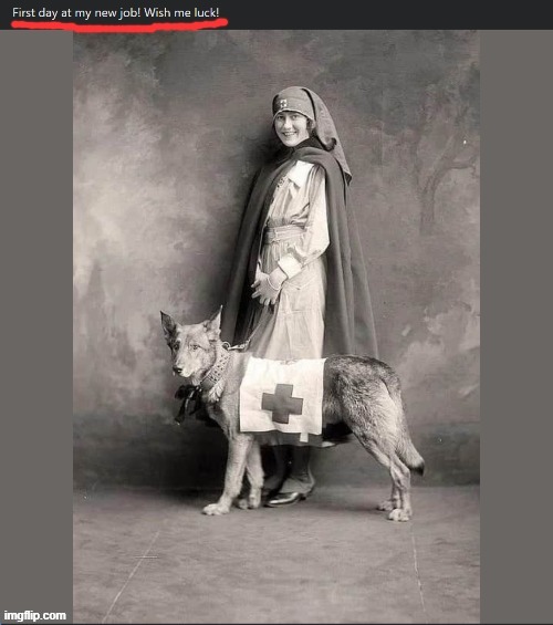 lol but also true story: The courage that women showed in roles like nurses during WWI helped lead directly to women's suffrage. | image tagged in womens rights,voting,historical meme,wwi,world war i,equal rights | made w/ Imgflip meme maker