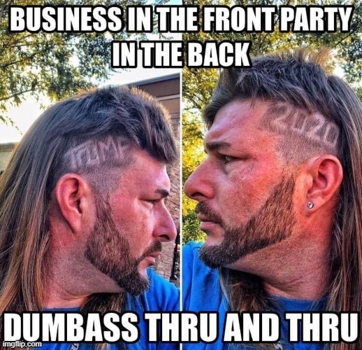 2020 wut a gret year maga | image tagged in election 2020,2020,maga,dumbass,mullet,trump supporters | made w/ Imgflip meme maker