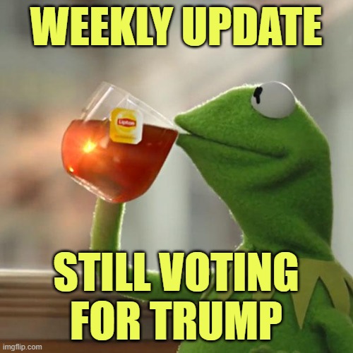 But That's None Of My Business Meme | WEEKLY UPDATE STILL VOTING FOR TRUMP | image tagged in memes,but that's none of my business,kermit the frog | made w/ Imgflip meme maker