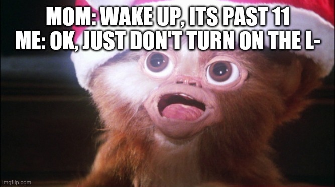 Mogwai bright lights | MOM: WAKE UP, ITS PAST 11
ME: OK, JUST DON'T TURN ON THE L- | image tagged in mogwai bright lights | made w/ Imgflip meme maker