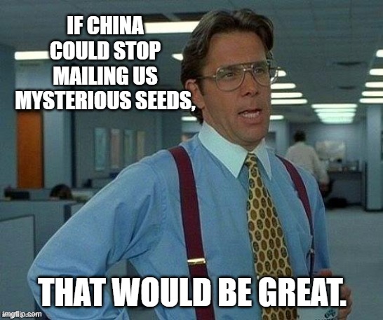 Mysterious seeds. | IF CHINA COULD STOP MAILING US MYSTERIOUS SEEDS, THAT WOULD BE GREAT. | image tagged in lumburg,china,seeds,mail | made w/ Imgflip meme maker