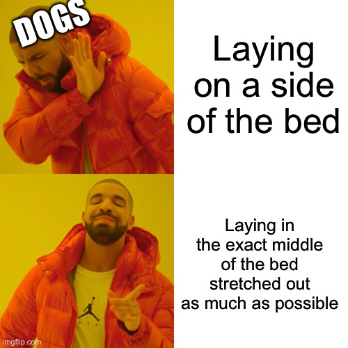Drake Hotline Bling | DOGS; Laying on a side of the bed; Laying in the exact middle of the bed stretched out as much as possible | image tagged in memes,drake hotline bling | made w/ Imgflip meme maker