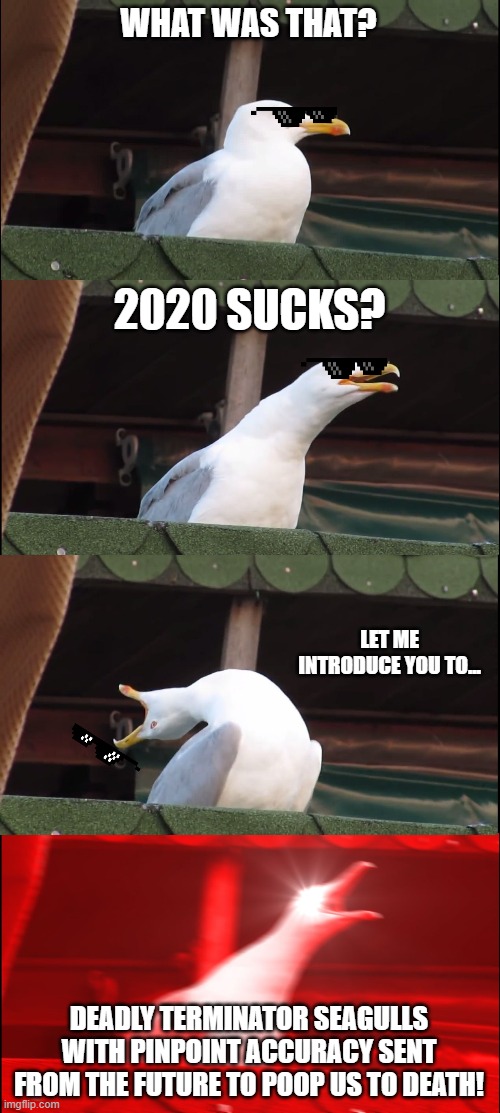 I Poop on 2020! | WHAT WAS THAT? 2020 SUCKS? LET ME INTRODUCE YOU TO... DEADLY TERMINATOR SEAGULLS WITH PINPOINT ACCURACY SENT FROM THE FUTURE TO POOP US TO DEATH! | image tagged in memes,inhaling seagull,2020 meme,2020 sucks meme,poop on you meme,terminator meme | made w/ Imgflip meme maker