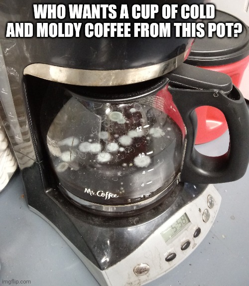 moldy coffee | WHO WANTS A CUP OF COLD AND MOLDY COFFEE FROM THIS POT? | image tagged in moldy coffee,funny,meme,funny memes,coffee,work | made w/ Imgflip meme maker