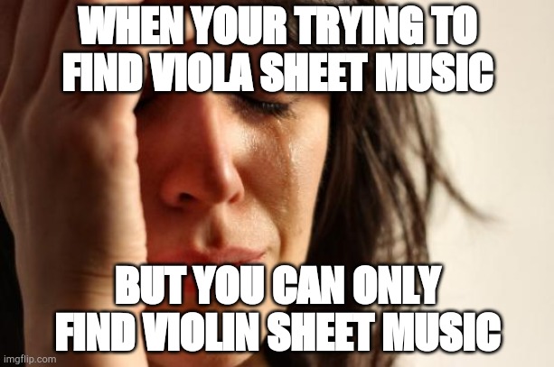 First World Problems Meme | WHEN YOUR TRYING TO FIND VIOLA SHEET MUSIC; BUT YOU CAN ONLY FIND VIOLIN SHEET MUSIC | image tagged in memes,first world problems | made w/ Imgflip meme maker