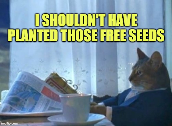 I Should Buy A Boat Cat Meme | I SHOULDN'T HAVE PLANTED THOSE FREE SEEDS | image tagged in memes,i should buy a boat cat | made w/ Imgflip meme maker