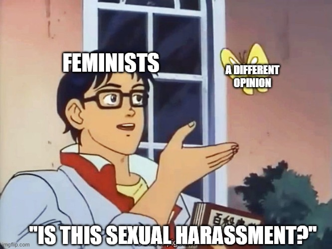 Feminists | FEMINISTS; A DIFFERENT OPINION; "IS THIS SEXUAL HARASSMENT?" | image tagged in anime butterfly meme | made w/ Imgflip meme maker