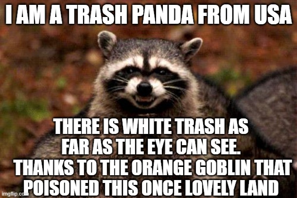 I just follow the stench of trash and that's where I head to | I AM A TRASH PANDA FROM USA; THERE IS WHITE TRASH AS FAR AS THE EYE CAN SEE.
 THANKS TO THE ORANGE GOBLIN THAT POISONED THIS ONCE LOVELY LAND | image tagged in trash,usa | made w/ Imgflip meme maker