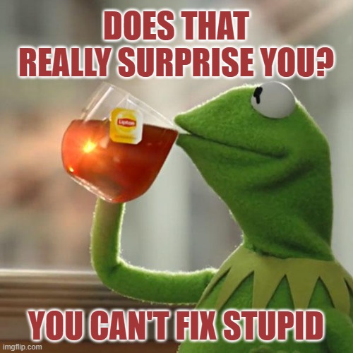 But That's None Of My Business Meme | DOES THAT REALLY SURPRISE YOU? YOU CAN'T FIX STUPID | image tagged in memes,but that's none of my business,kermit the frog | made w/ Imgflip meme maker