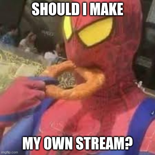 After seeing people making streams dedicated to themselves, I wondered if I should also do it. | SHOULD I MAKE; MY OWN STREAM? | image tagged in spiderman bagel | made w/ Imgflip meme maker