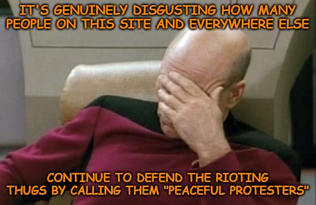If you support the rioting and the thuggery, you are part of the problem and have no business talking about it. | IT'S GENUINELY DISGUSTING HOW MANY PEOPLE ON THIS SITE AND EVERYWHERE ELSE; CONTINUE TO DEFEND THE RIOTING THUGS BY CALLING THEM "PEACEFUL PROTESTERS" | image tagged in memes,captain picard facepalm | made w/ Imgflip meme maker