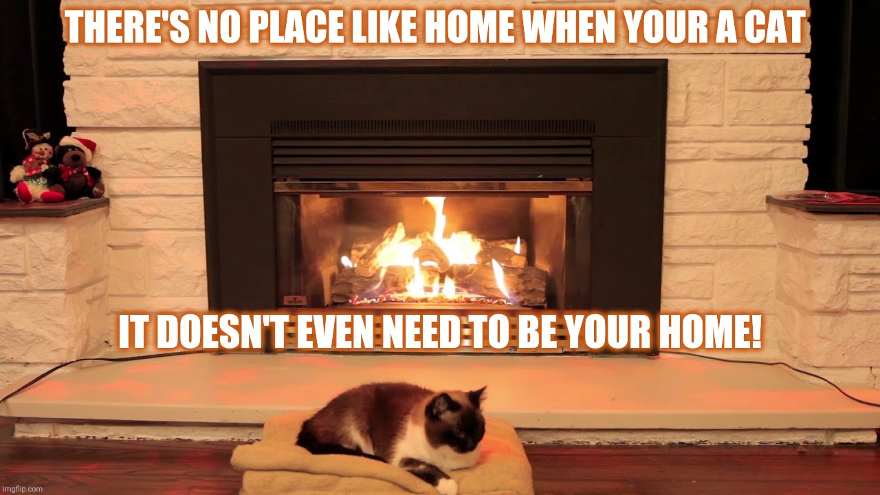There's no place like home | THERE'S NO PLACE LIKE HOME WHEN YOUR A CAT; IT DOESN'T EVEN NEED TO BE YOUR HOME! | image tagged in memes,cat,fire,all snug and warm,thats the life for me,time for a snooze | made w/ Imgflip meme maker