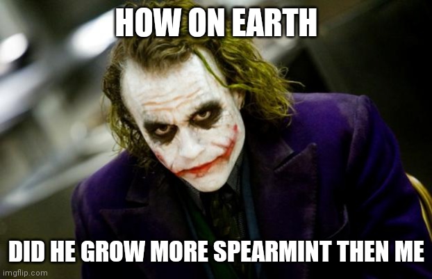 why so serious joker | HOW ON EARTH; DID HE GROW MORE SPEARMINT THEN ME | image tagged in why so serious joker | made w/ Imgflip meme maker