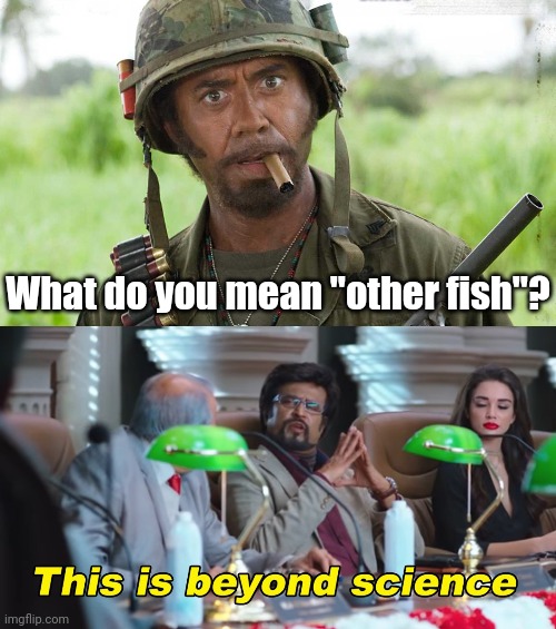What do you mean "other fish"? | image tagged in what do you mean,this is beyond science | made w/ Imgflip meme maker