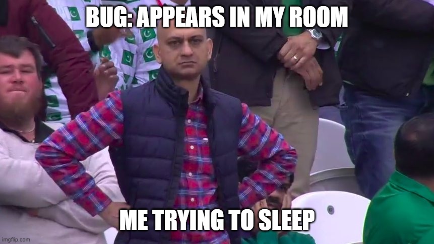 Disappointed Muhammad Sarim Akhtar | BUG: APPEARS IN MY ROOM; ME TRYING TO SLEEP | image tagged in disappointed muhammad sarim akhtar | made w/ Imgflip meme maker