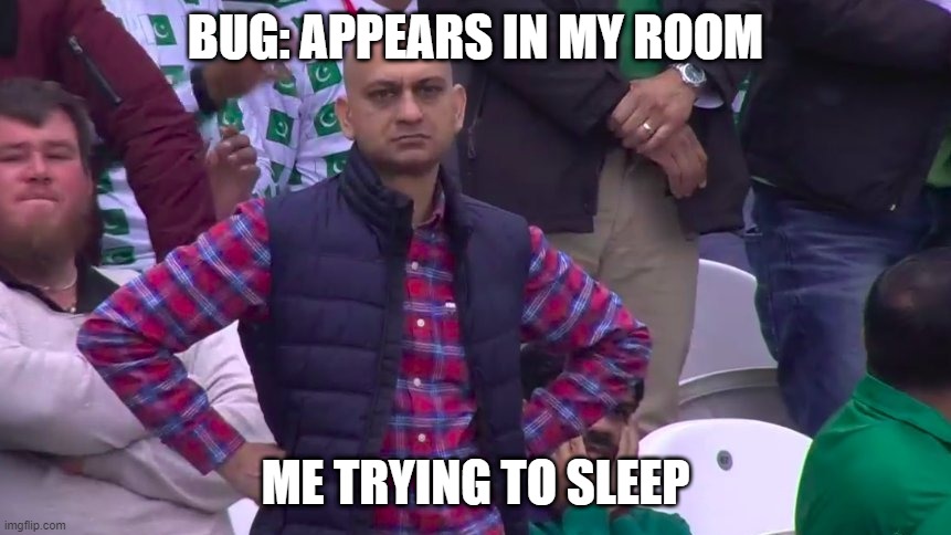 Disappointed Muhammad Sarim Akhtar | BUG: APPEARS IN MY ROOM; ME TRYING TO SLEEP | image tagged in disappointed muhammad sarim akhtar | made w/ Imgflip meme maker