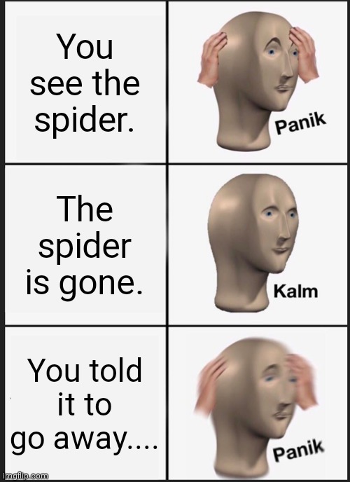 You're that stupid huh? | You see the spider. The spider is gone. You told it to go away.... | image tagged in memes,panik kalm panik | made w/ Imgflip meme maker