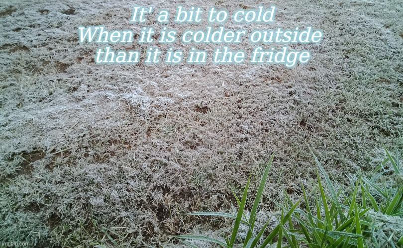 cold outside | It' a bit to cold
When it is colder outside 
than it is in the fridge | image tagged in frosty,cold,memes | made w/ Imgflip meme maker