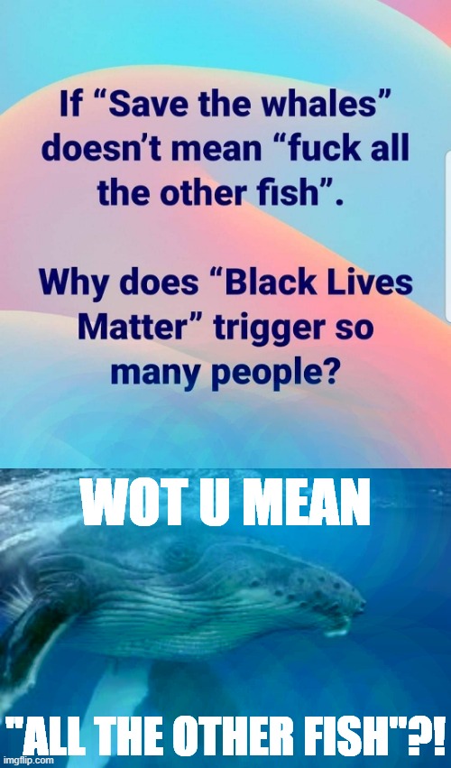 Good point, poor choice of words lmao |  WOT U MEAN; "ALL THE OTHER FISH"?! | image tagged in skeptical humpback whale,black lives matter,blm,blacklivesmatter,whales,whale | made w/ Imgflip meme maker
