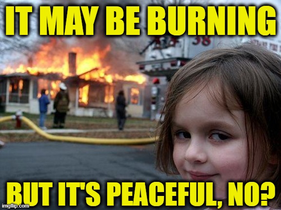 Peaceful Protest Girl | IT MAY BE BURNING; BUT IT'S PEACEFUL, NO? | image tagged in memes,disaster girl | made w/ Imgflip meme maker