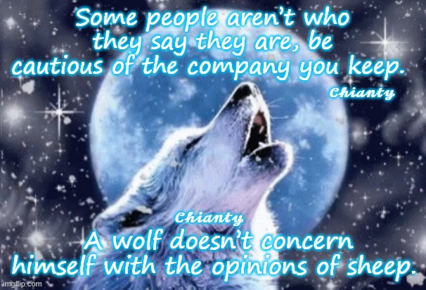 Some People |  Some people aren’t who they say they are, be cautious of the company you keep. 𝓒𝓱𝓲𝓪𝓷𝓽𝔂; 𝓒𝓱𝓲𝓪𝓷𝓽𝔂; A wolf doesn’t concern himself with the opinions of sheep. | image tagged in opinions | made w/ Imgflip meme maker