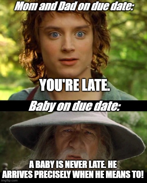 A Baby is Never Late |  Mom and Dad on due date:; YOU'RE LATE. Baby on due date:; A BABY IS NEVER LATE. HE ARRIVES PRECISELY WHEN HE MEANS TO! | image tagged in memes,surpised frodo,gandalf late,baby | made w/ Imgflip meme maker