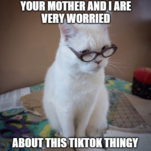 Does it spread the virus | YOUR MOTHER AND I ARE
VERY WORRIED; ABOUT THIS TIKTOK THINGY | image tagged in cats,memes,tiktok,fun,funny memes,funny | made w/ Imgflip meme maker