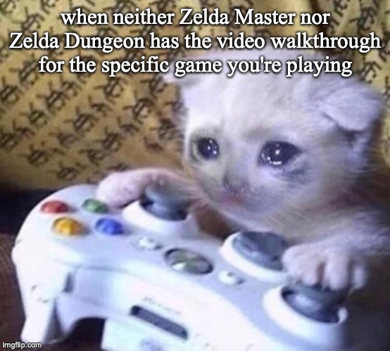 Sad Gamer Cat | when neither Zelda Master nor Zelda Dungeon has the video walkthrough for the specific game you're playing | image tagged in sad gamer cat,the legend of zelda,zelda,nintendo,youtube,video games | made w/ Imgflip meme maker