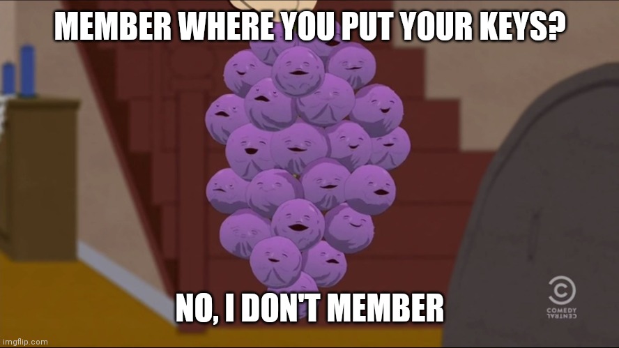 Member Berries | MEMBER WHERE YOU PUT YOUR KEYS? NO, I DON'T MEMBER | image tagged in memes,member berries | made w/ Imgflip meme maker