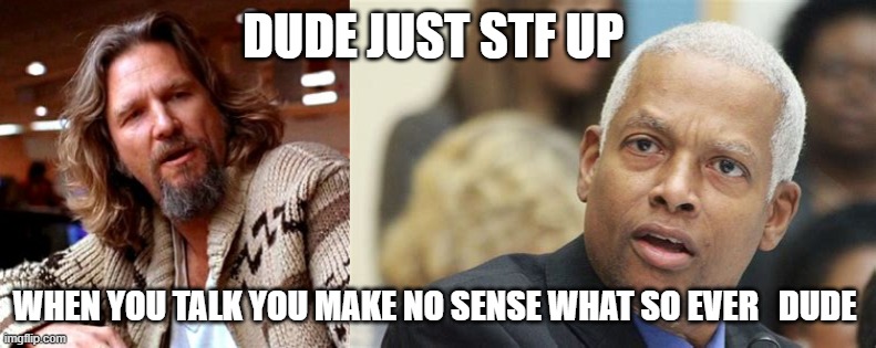 Dude | DUDE JUST STF UP; WHEN YOU TALK YOU MAKE NO SENSE WHAT SO EVER   DUDE | image tagged in stfu | made w/ Imgflip meme maker