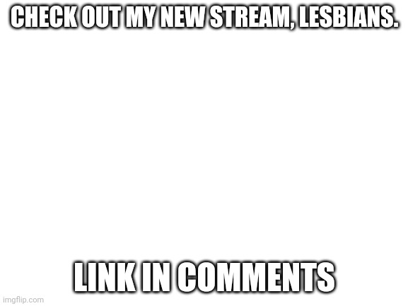 Yup. im bisexual. | CHECK OUT MY NEW STREAM, LESBIANS. LINK IN COMMENTS | image tagged in blank white template | made w/ Imgflip meme maker