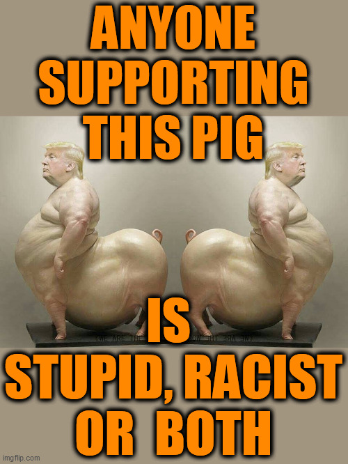 He's a well known pig. A lifetime racist, he's a traitor, with NO morals, integrity, standards, decency, honesty, or compassion! | ANYONE SUPPORTING THIS PIG; IS  STUPID, RACIST OR  BOTH | image tagged in pig,traitor,trump is an asshole,psychopath,2020 elections,racist | made w/ Imgflip meme maker