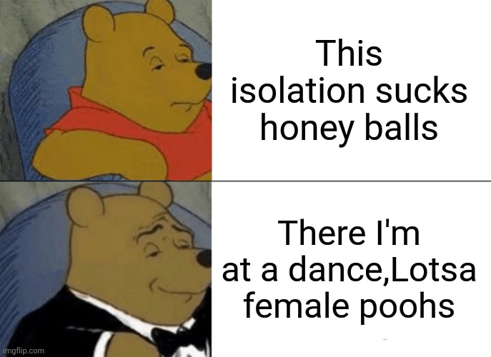 Tuxedo Winnie The Pooh Meme | This isolation sucks honey balls; There I'm at a dance,Lotsa female poohs | image tagged in memes,tuxedo winnie the pooh | made w/ Imgflip meme maker
