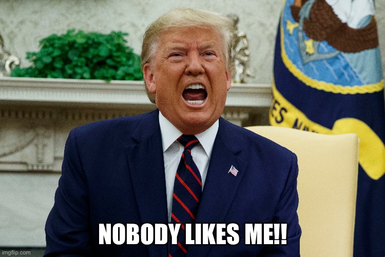 Nobody Likes Me!! | NOBODY LIKES ME!! | image tagged in anti trump meme | made w/ Imgflip meme maker