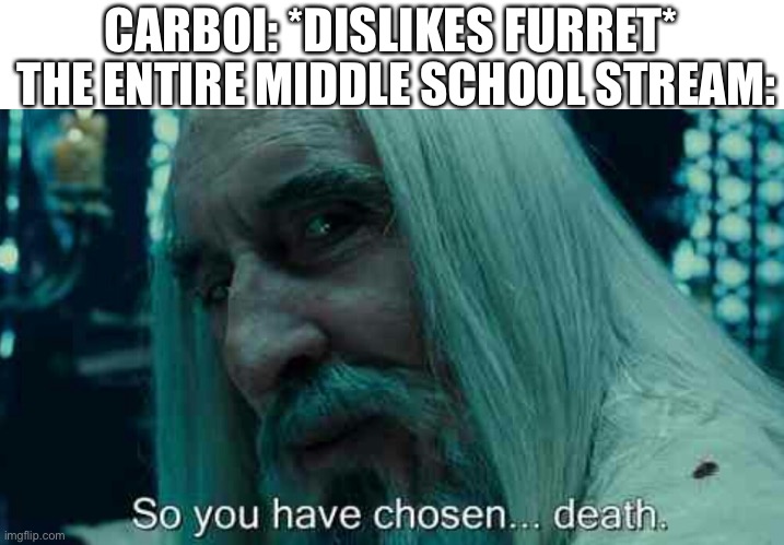 So you have chosen death | CARBOI: *DISLIKES FURRET* THE ENTIRE MIDDLE SCHOOL STREAM: | image tagged in so you have chosen death | made w/ Imgflip meme maker