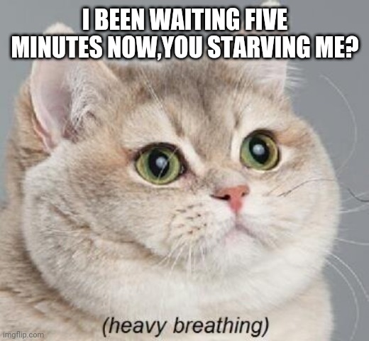 Heavy Breathing Cat | I BEEN WAITING FIVE MINUTES NOW,YOU STARVING ME? | image tagged in memes,heavy breathing cat | made w/ Imgflip meme maker