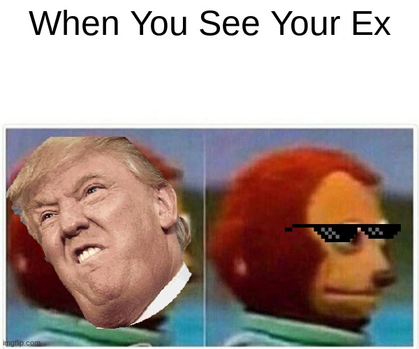 Monkey Puppet Meme | When You See Your Ex | image tagged in memes,monkey puppet | made w/ Imgflip meme maker