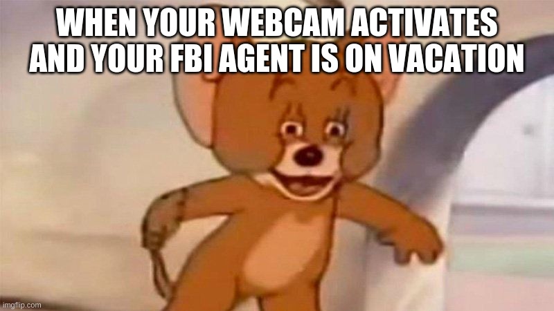 WHEN YOUR WEBCAM ACTIVATES AND YOUR FBI AGENT IS ON VACATION | image tagged in polish jerry | made w/ Imgflip meme maker